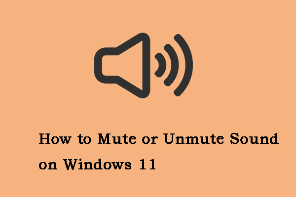 How to Mute or Unmute Sound on Windows 11? Follow the Guide!