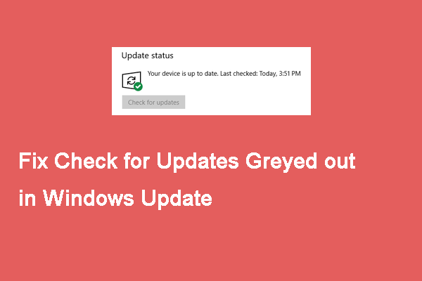 Best Fixes for Windows Update Check for Updates Grayed out