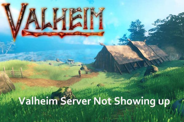 Fix: Valheim Server Not Showing up on Community List for Friends