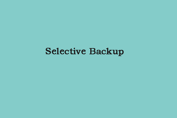 What Is Selective Backup? How to Perform the Selective Backup?