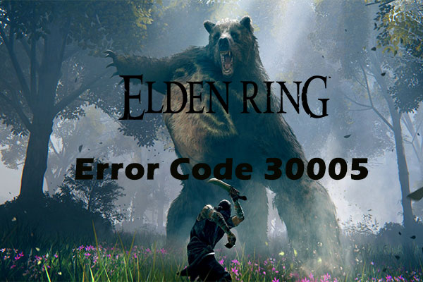 How to Fix Elden Ring Error Code 30005 Windows 10/11?