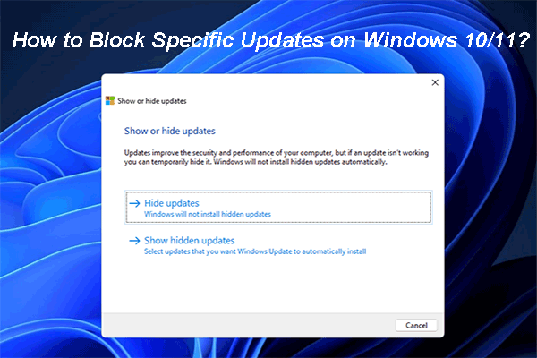 How to Hide/Stop/Block Specific Updates on Windows 10/11?