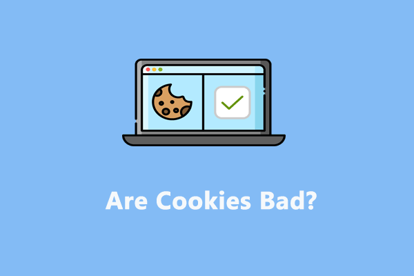 What Are Cookies on the Internet? Are Cookies Bad?