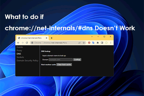 chrome://net-internals/#dns: How Does It Work and How to Fix It?