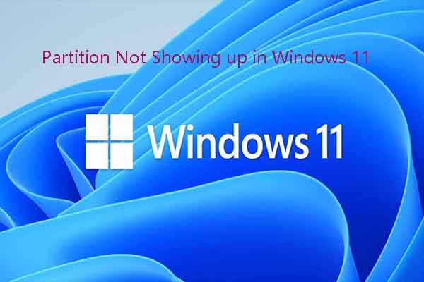 Partition Not Showing up in Windows 11/10 [Focus on 3 Cases]