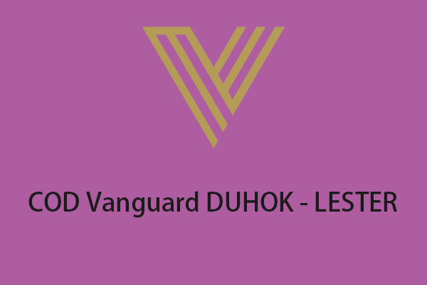 Fixed - Call of Duty (COD) Vanguard DUHOK - LESTER on PlayStation
