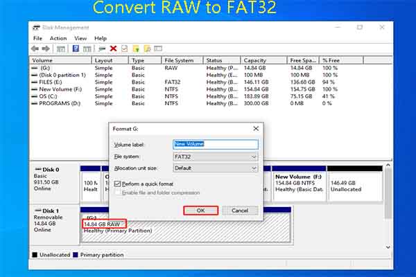 Top 4 Ways to Convert RAW to FAT32 Without Data Loss