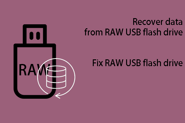 How to Recover Data from a RAW USB Flash Drive on Windows?