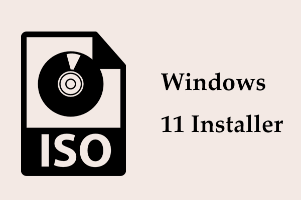 Unduh ISO Penginstal Windows 11 & Cara Menginstal OS dari USB