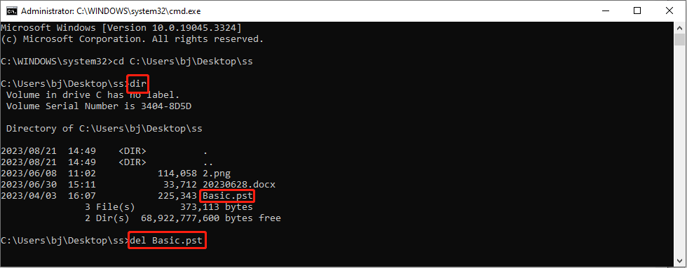delete the suspicious file