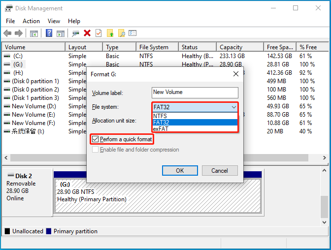 Select FAT32 and check Perform a quick format