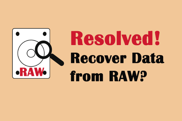 How to Recover Data from RAW File System/RAW Partition/RAW Drive