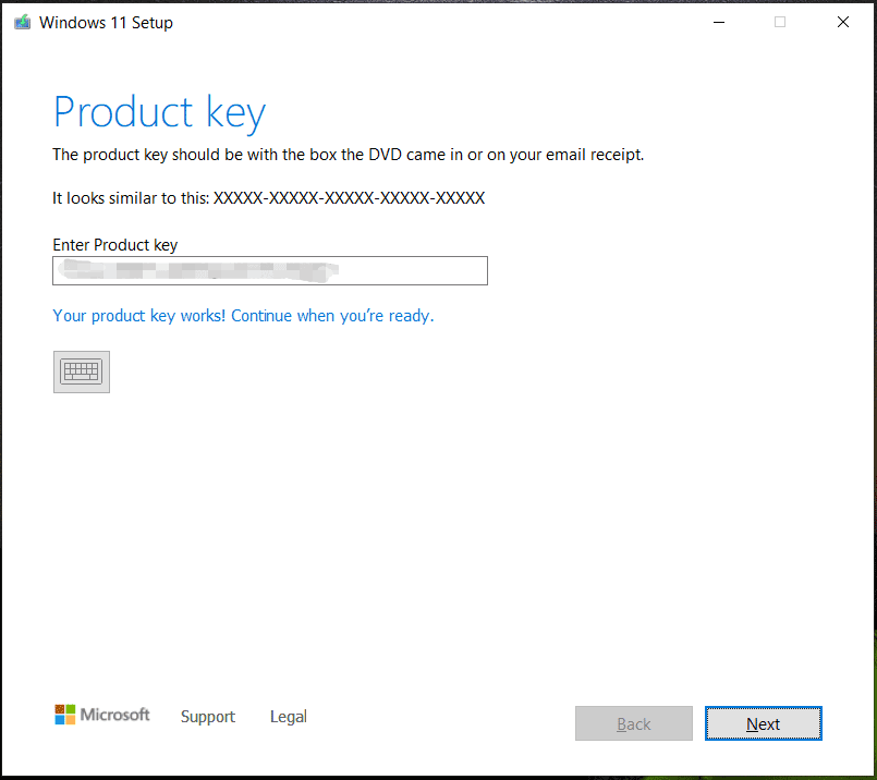 choose Enterprise N for Windows 11 to install