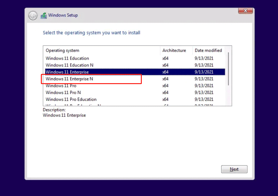 Windows 11 Enterprise N ISO