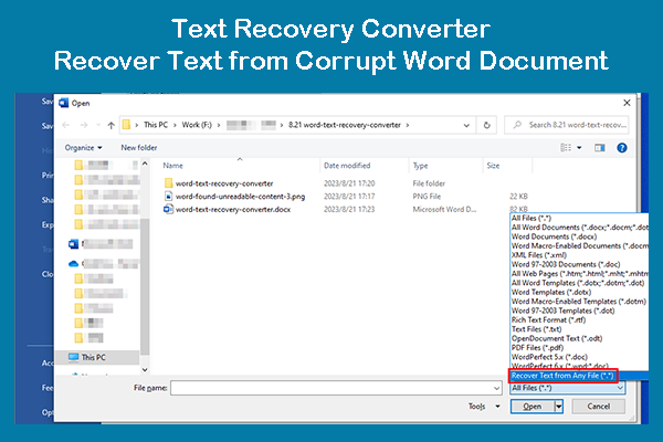 Text Recovery Converter: Recover Text from Corrupt Word Document
