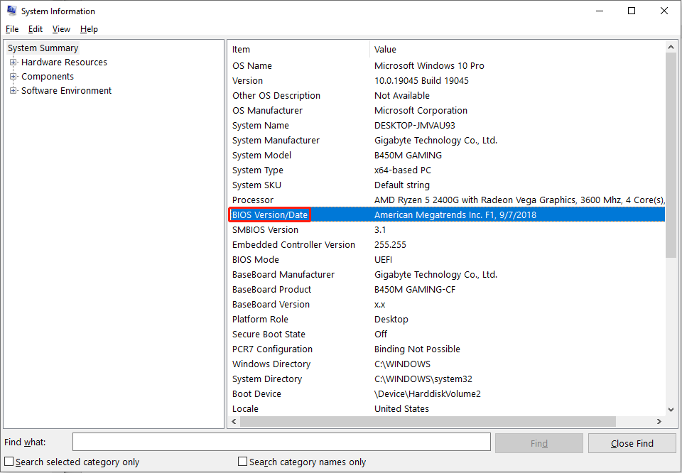 check for the BIOS version