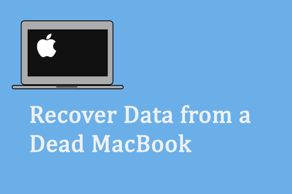 Effective Methods to Recover Data from a Dead MacBook