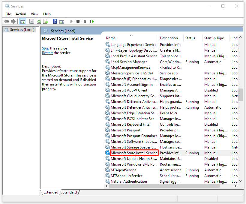 locate Microsoft Store Install Service