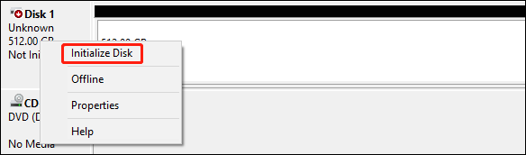 click Initialize Disk