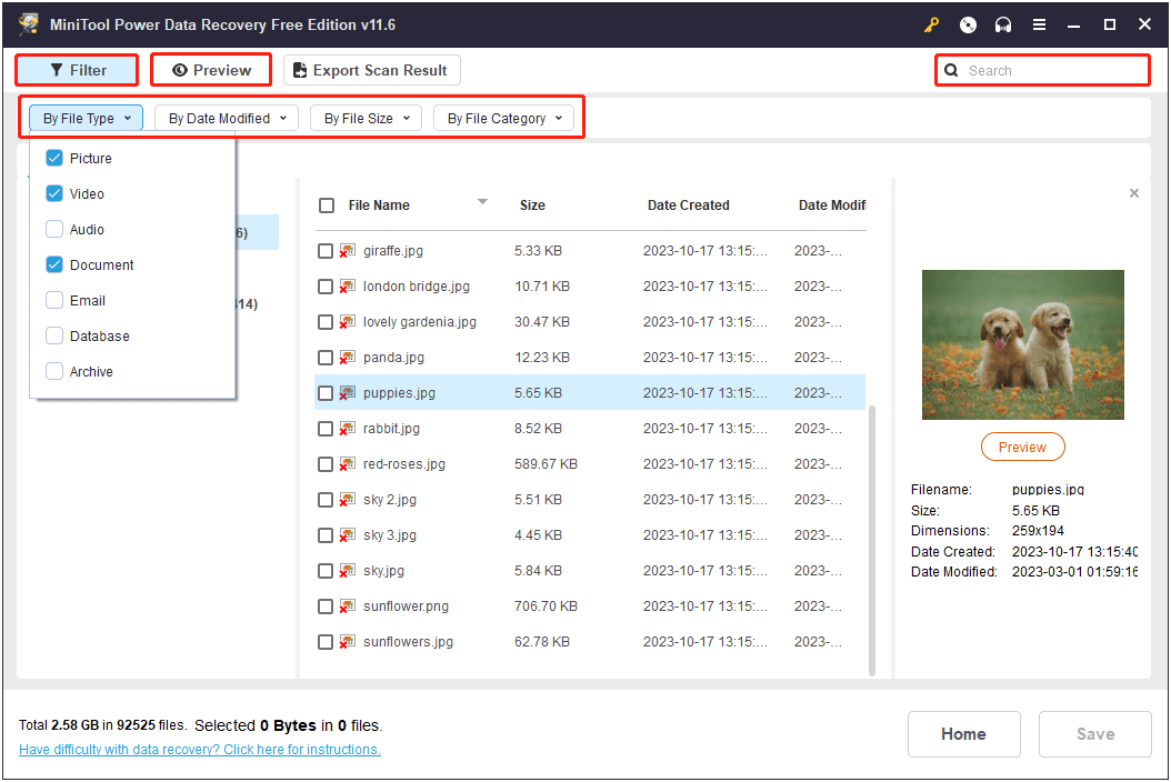 filter, search and preview the file