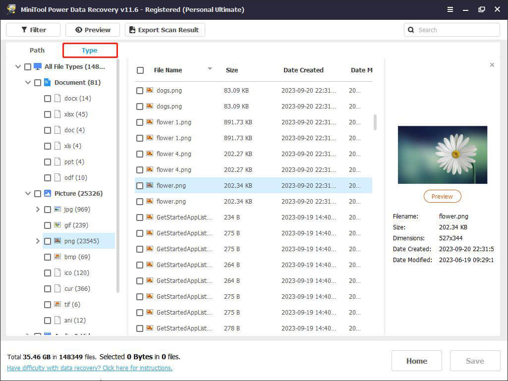 view files by file type