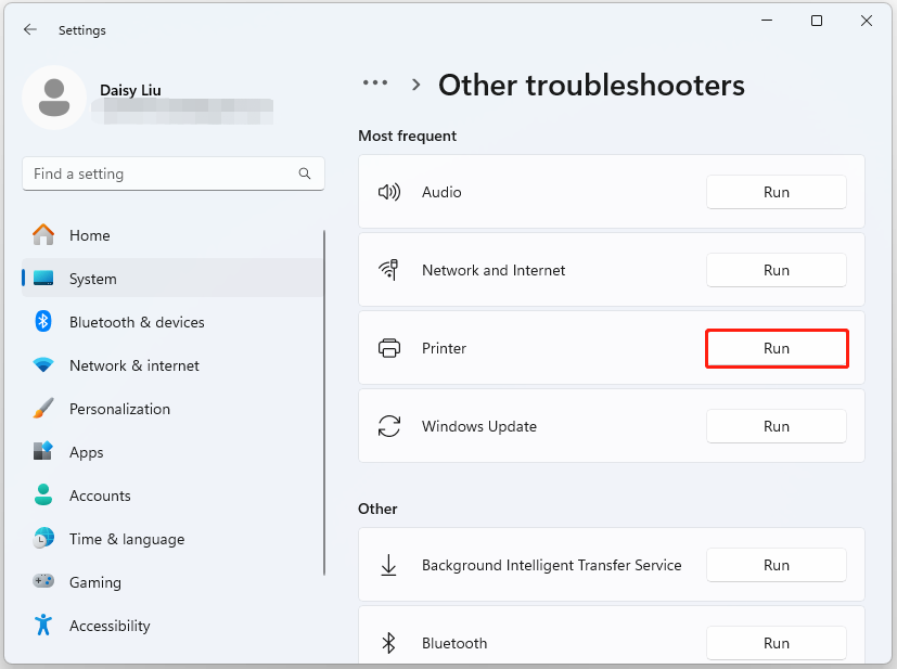 run the Printer troubleshooter