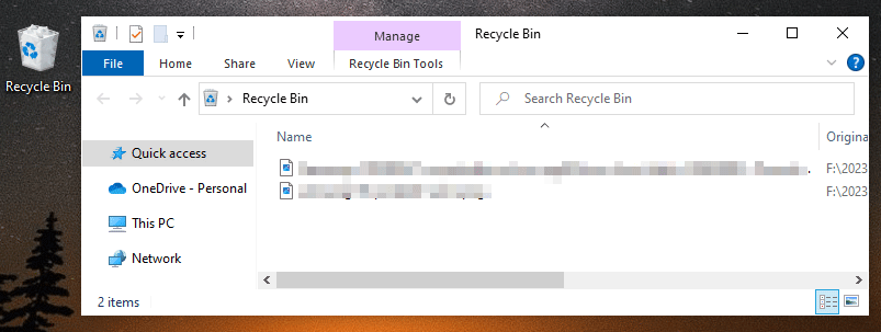 the Recycle Bin in Windows