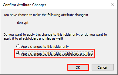 confirm the decrypt choice