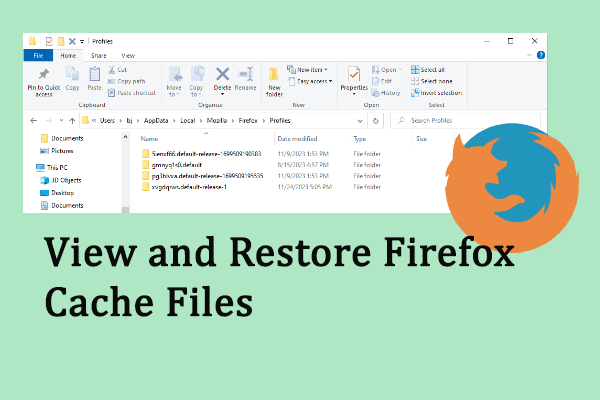 Full Guide to View and Restore Firefox Cache Files