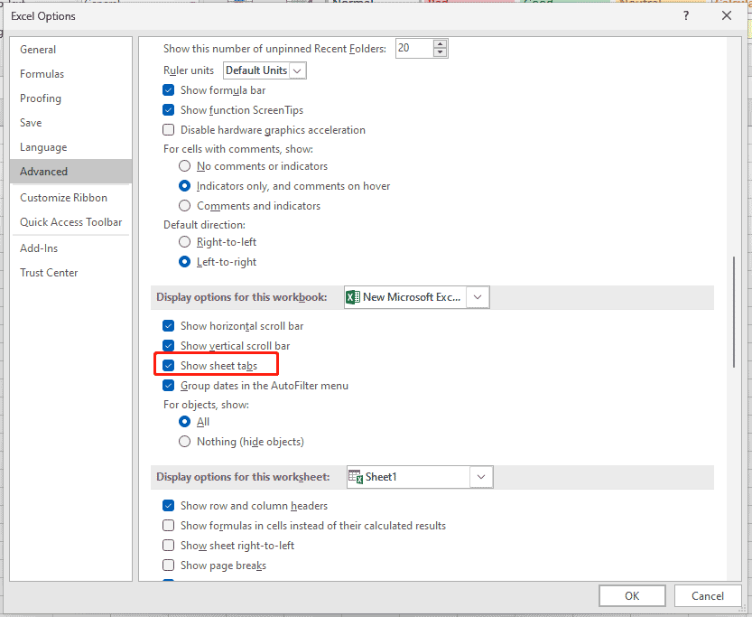 enable show sheet tabs setting