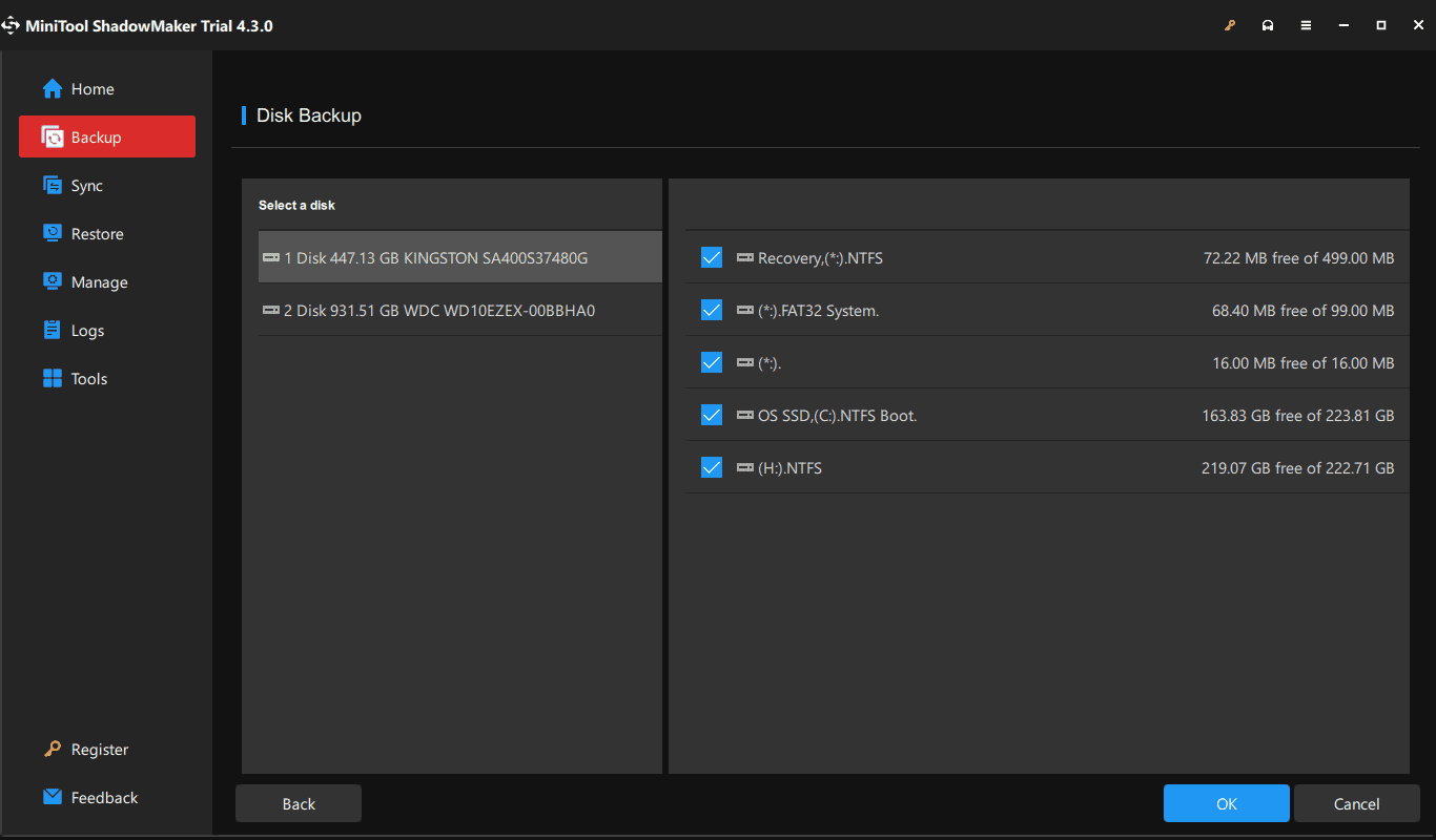 choose disk to backup