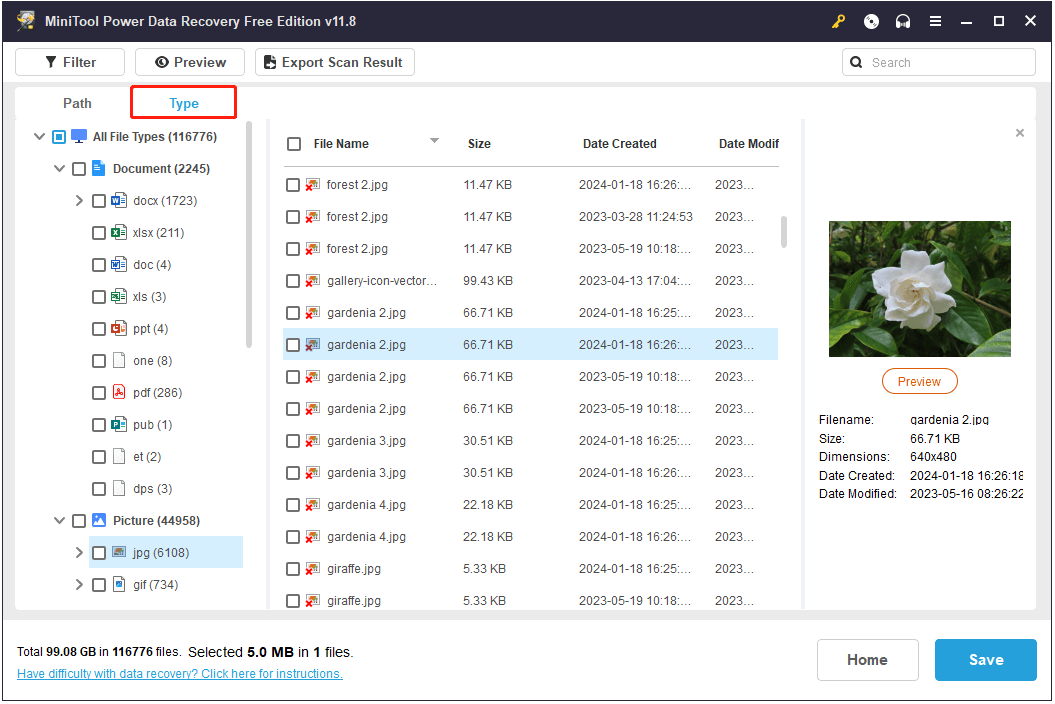 view files by file type