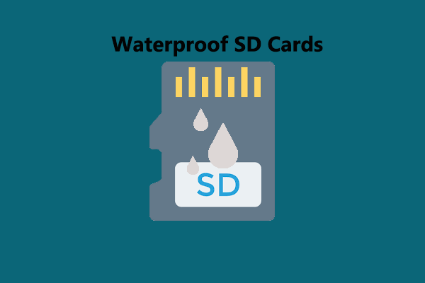 Explore the Top Waterproof SD Cards for Rugged Adventures