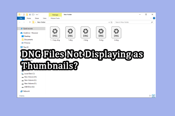 Fixed: DNG Files Not Displaying as Thumbnails on Windows