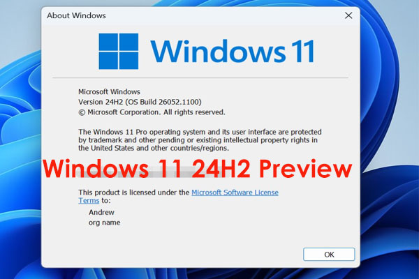 How to Install/Upgrade to Windows 11 24H2 (Earlier Preview)