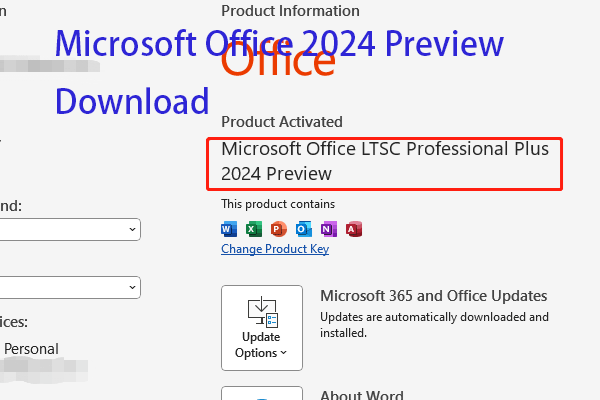 Microsoft Office 2024 Preview Download & Installation