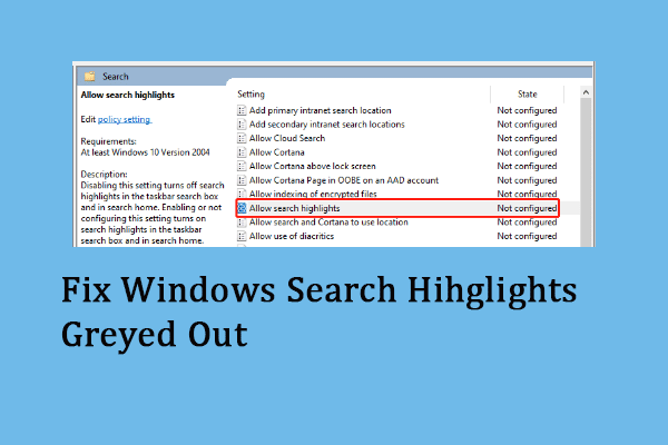 Windows Search Highlights Option Is Greyed Out: 3 Solutions