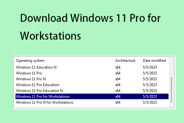 Download Windows 11 Pro for Workstations ISO Image