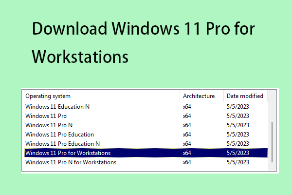 Unduh Windows 11 Pro untuk Workstation ISO Image