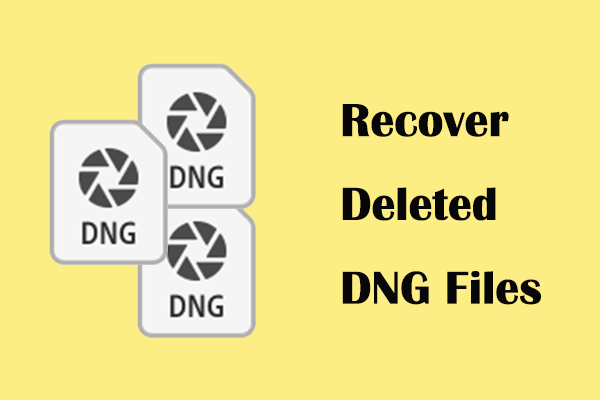 Best Ways on How to Recover Deleted DNG Files Windows/Mac