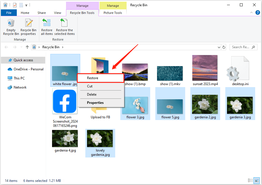 restore the deleted photos