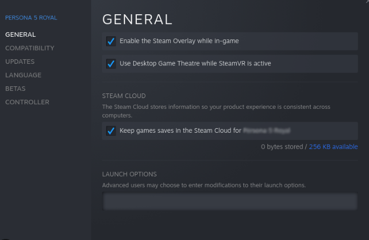 Steam Launch Options