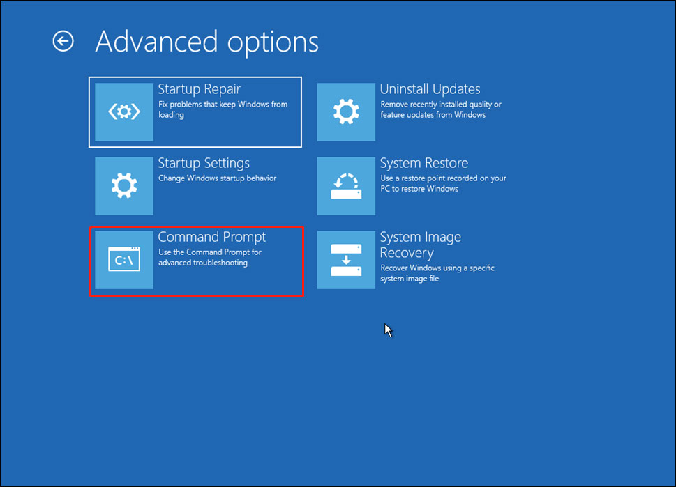 select Command Prompt