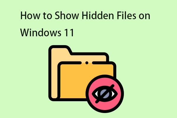 How to Show Hidden Files on Windows 11? Here Are 4 Ways!