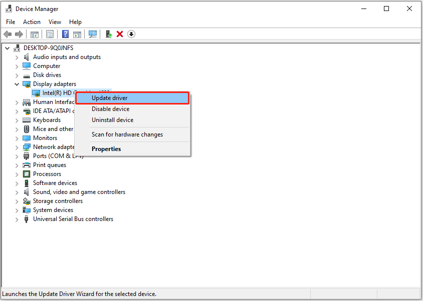 update the video driver in Device Manager