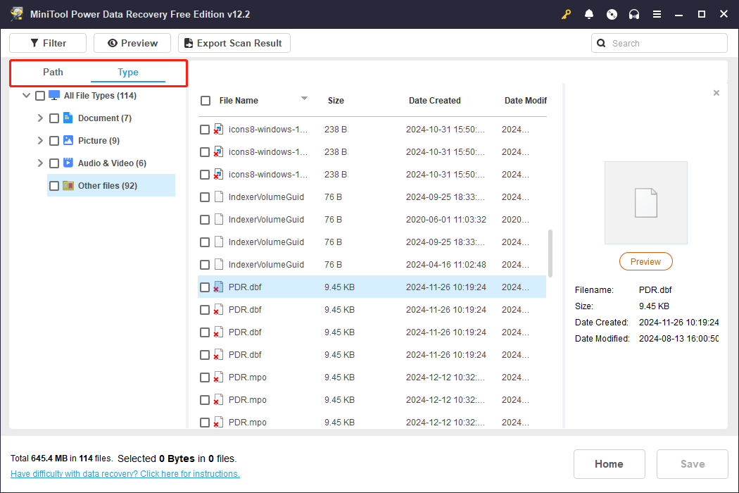 detected files are displayed under the Path and Type tabs in MiniTool Power Data Recovery