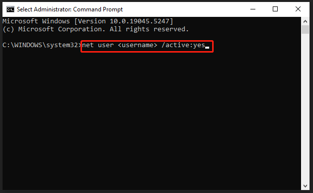 run the selected command to unlock Windows 11