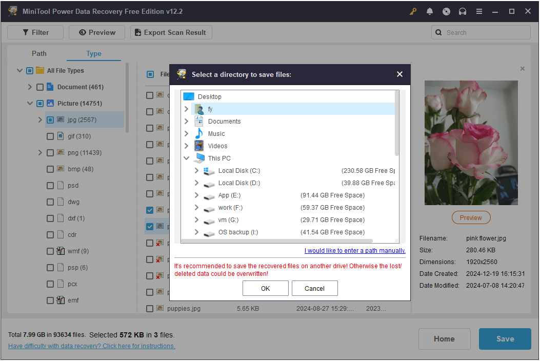 preview a pink flower in MiniTool Power Data Recovery and prepare to recover it