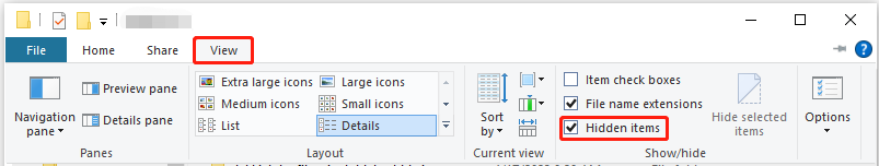 check the Hidden items option to display the hidden files