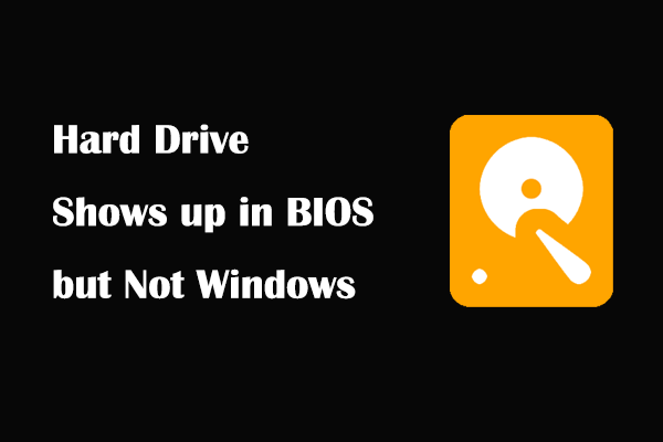 Las mejores soluciones para el disco duro aparece en la BIOS pero no en Windows